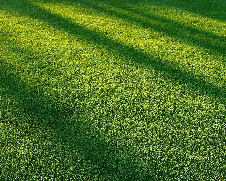 <span style="font-weight: bold;">ГАРАНТИЯ ПРИЖИВАЕМОСТИ ГАЗОНА Даём гарантию на все работы и материалы. Отвечаем за результат</span>